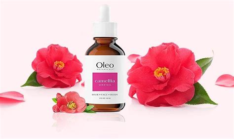 The 6 Best Camellia Oils For Faces .